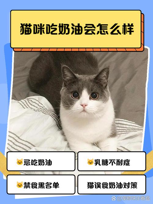 猫咪吃奶油会怎么样?