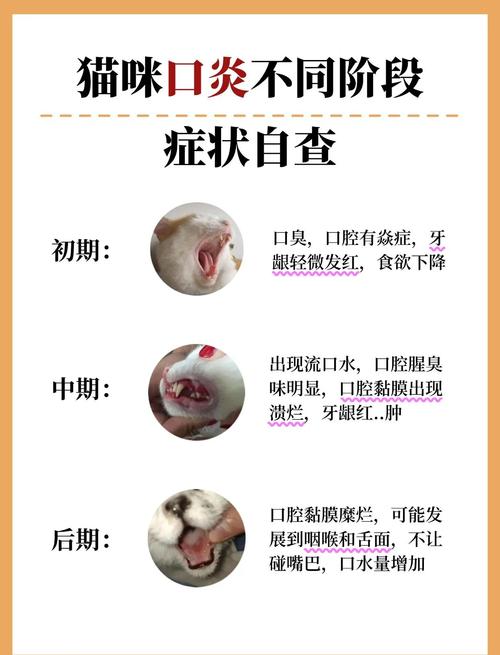 猫上火的症状有哪些