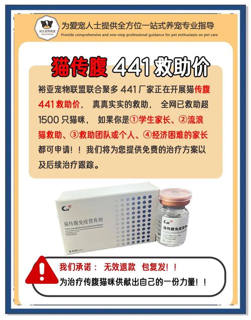 猫咪拉肚子应该吃什么药?