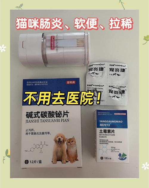 猫咪拉肚子了吃什么药