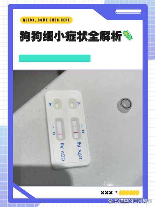 狗狗得细小指标怎么看