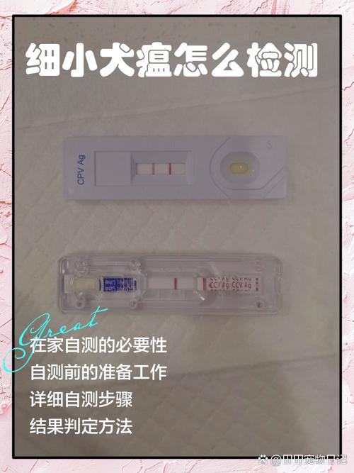如何判断狗狗是否得了细小