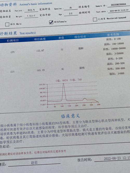 狗狗得细小的症状