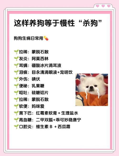 狗狗能经常洗澡吗?比如一个星期洗俩回?