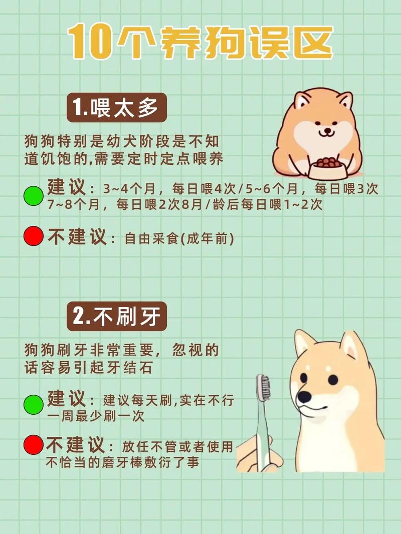 小狗能一天洗两次澡吗?