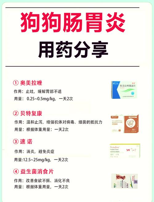 狗狗肠炎吃什么药