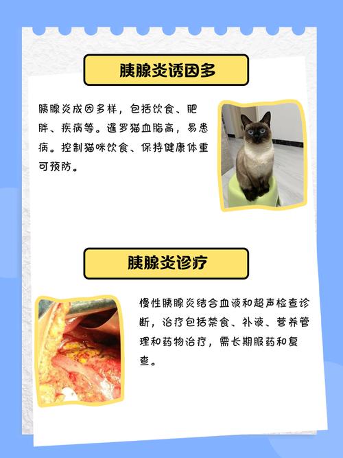 猫得了胰腺炎一般多长时间能好