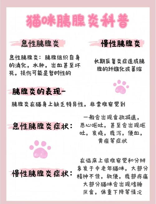 猫胰腺炎能治好吗