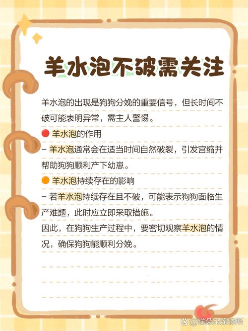 狗羊水泡出挂多久