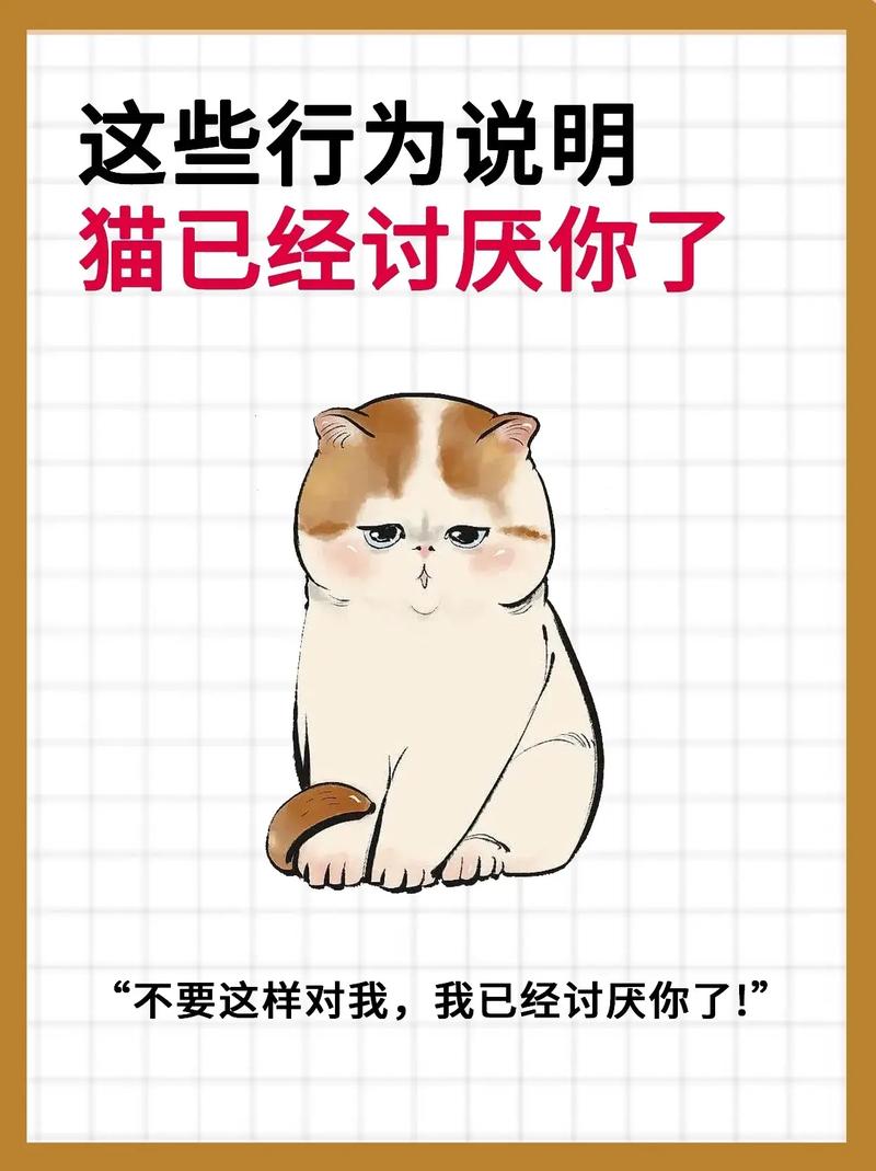 一只猫“憎恨你”,会出现这几种行为,最后一种无人能接受