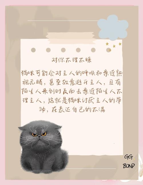 猫咪讨厌你的8种表现,你遇到过几种?