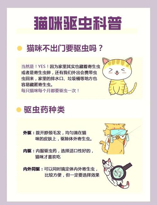 猫咪体外驱虫晚上还是白天更好?