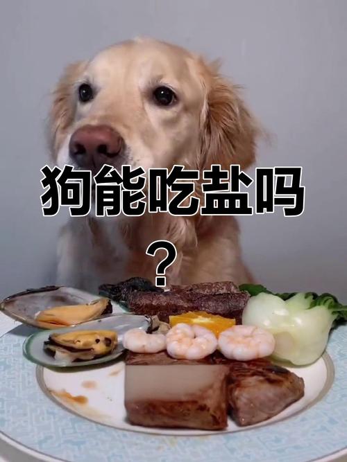 狗吃油腻吃咸会怎么样?