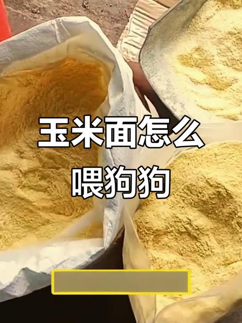狗狗吃玉米面不好吗