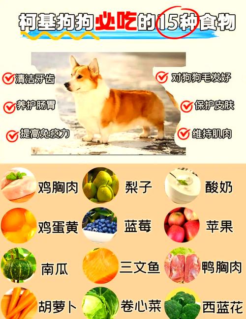 生玉米面粉用什么方法可以直接喂给狗狗吃啊