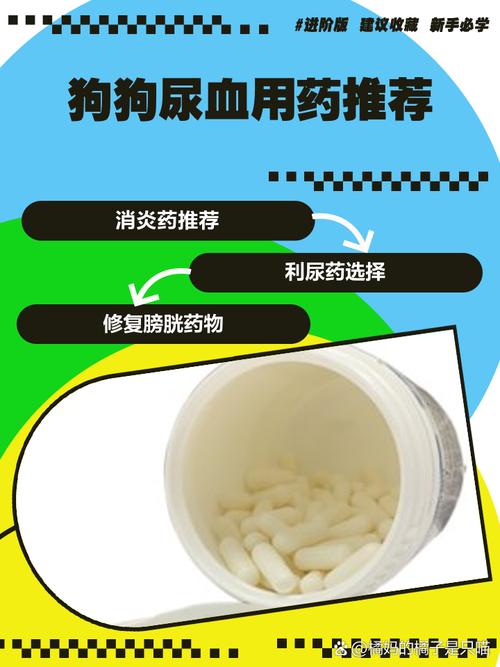 狗狗漏尿怎么治疗
