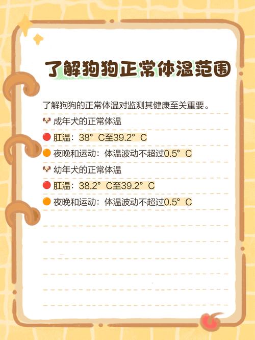 狗狗怎么量体温