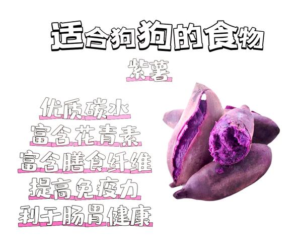 狗狗能吃紫薯吗