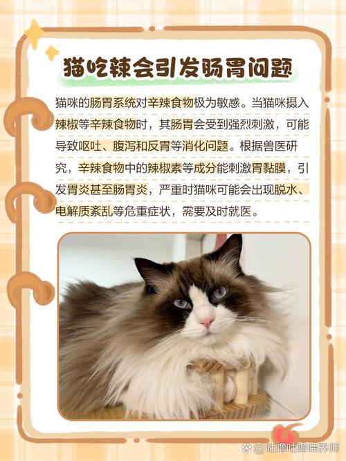 猫咪能吃辣吗?