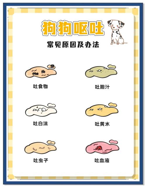 狗狗呕吐出狗粮还是完整的