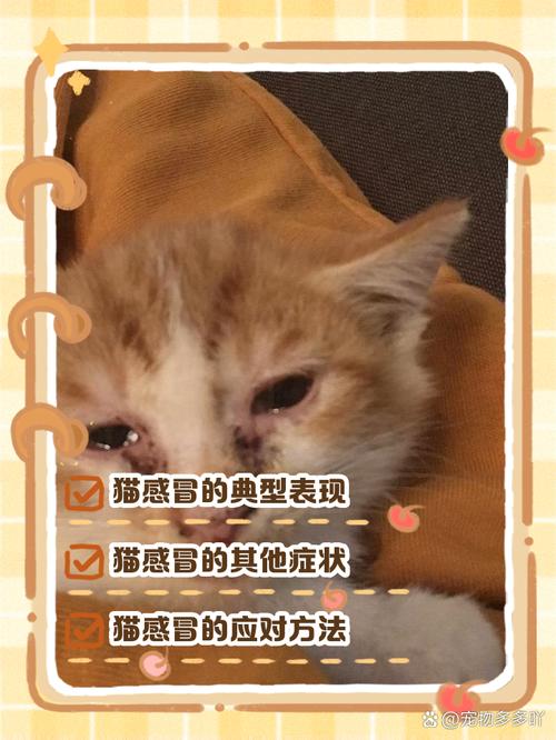 猫呼吸声很重好像鼻塞