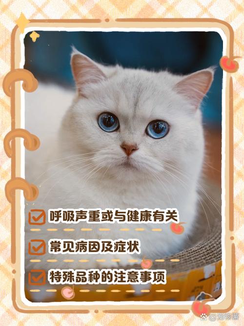 猫呼吸声像鼻子不通气