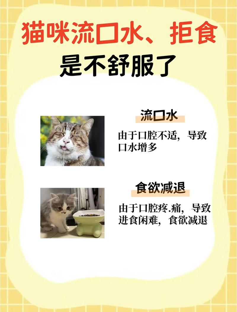 猫咪流口水没精神也不吃东西是怎么回事