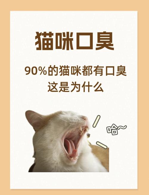 猫咪的嘴很臭,猫咪口臭是什么原因引起的?