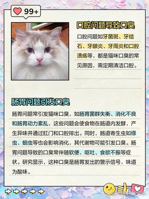 猫咪“口臭”的原因,千万别忽视