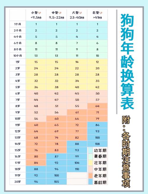 狗的年龄怎么计算
