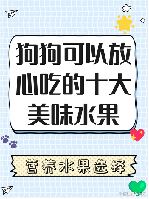 狗狗不能吃的食物大概有哪些呢