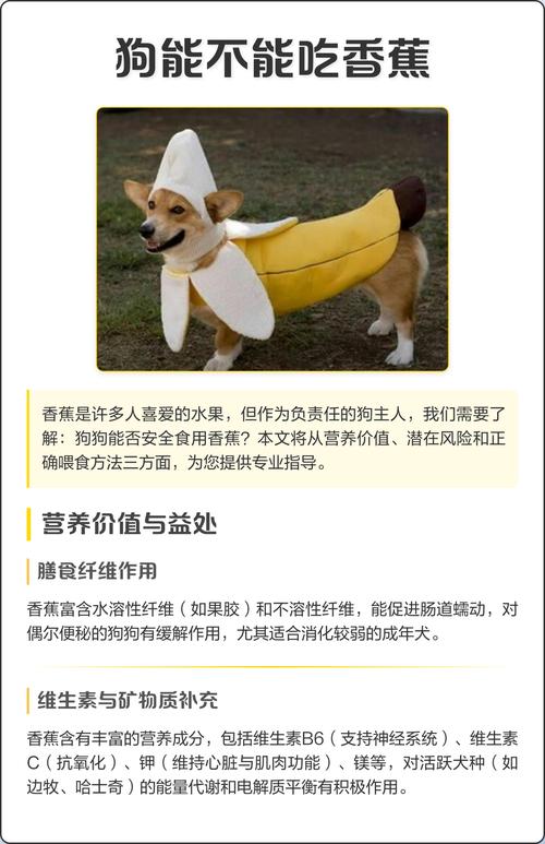 狗狗吃香蕉有哪些作用?