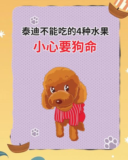 泰迪能不能吃香蕉