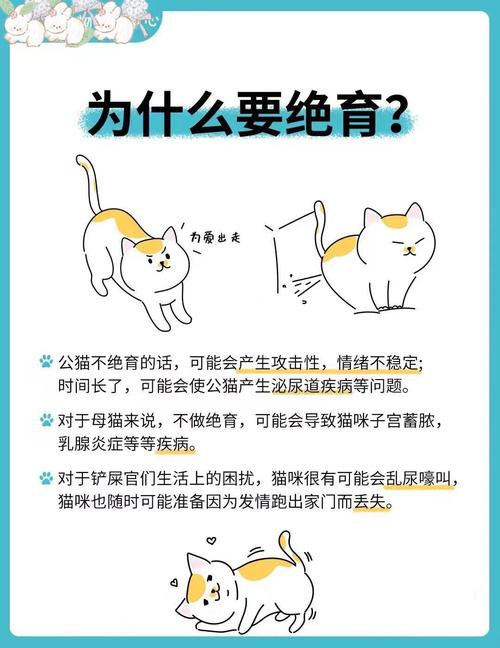 猫咪必须要绝育吗