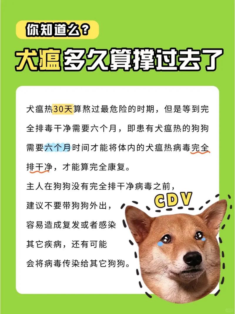 得了狗瘟的狗能活几天