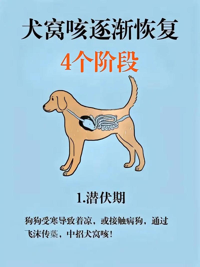 治疗狗狗咳嗽的最快的药