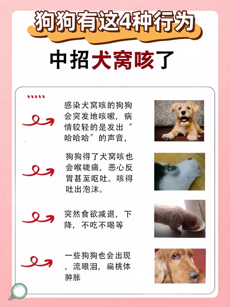 狗狗如果咳嗽喘的厉害的话,吃什么要见效最快?