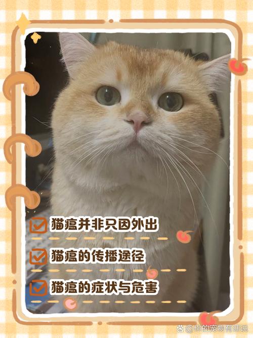 猫咪怎么样才会得猫瘟?