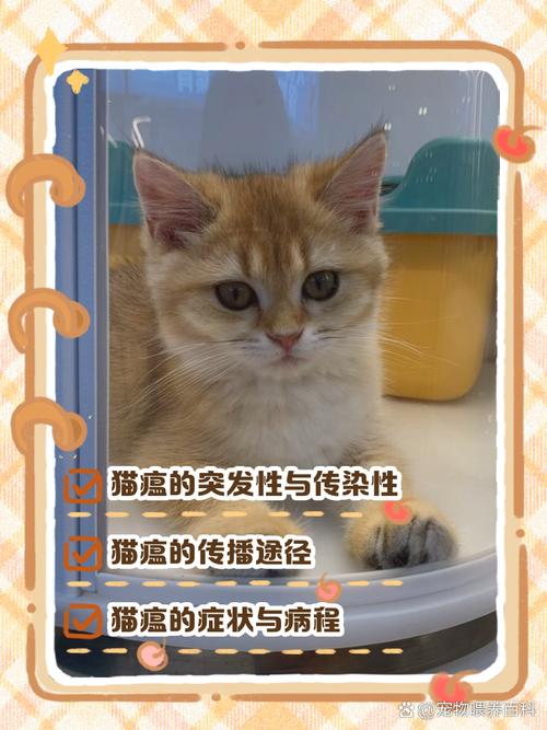 猫会无缘无故的猫瘟吗