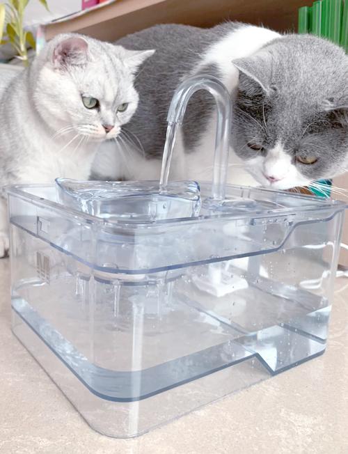 猫咪流动饮水器有哪些好的推荐呢?