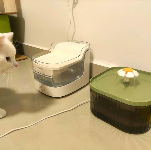 养猫必备|宠物饮水机到底买哪款