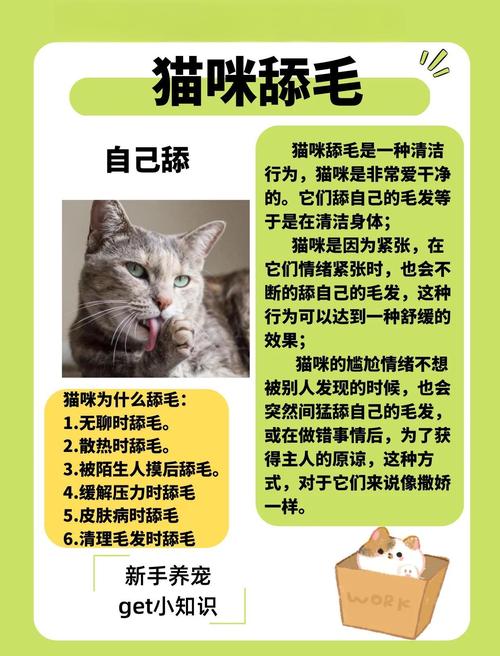 猫咪为什么会舔自己的毛啊?