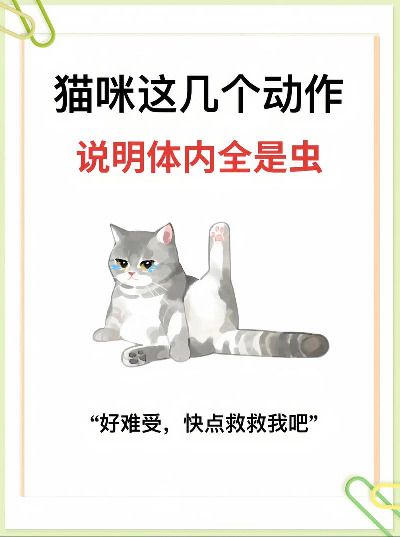 猫咪为什么老是舔自己的毛?