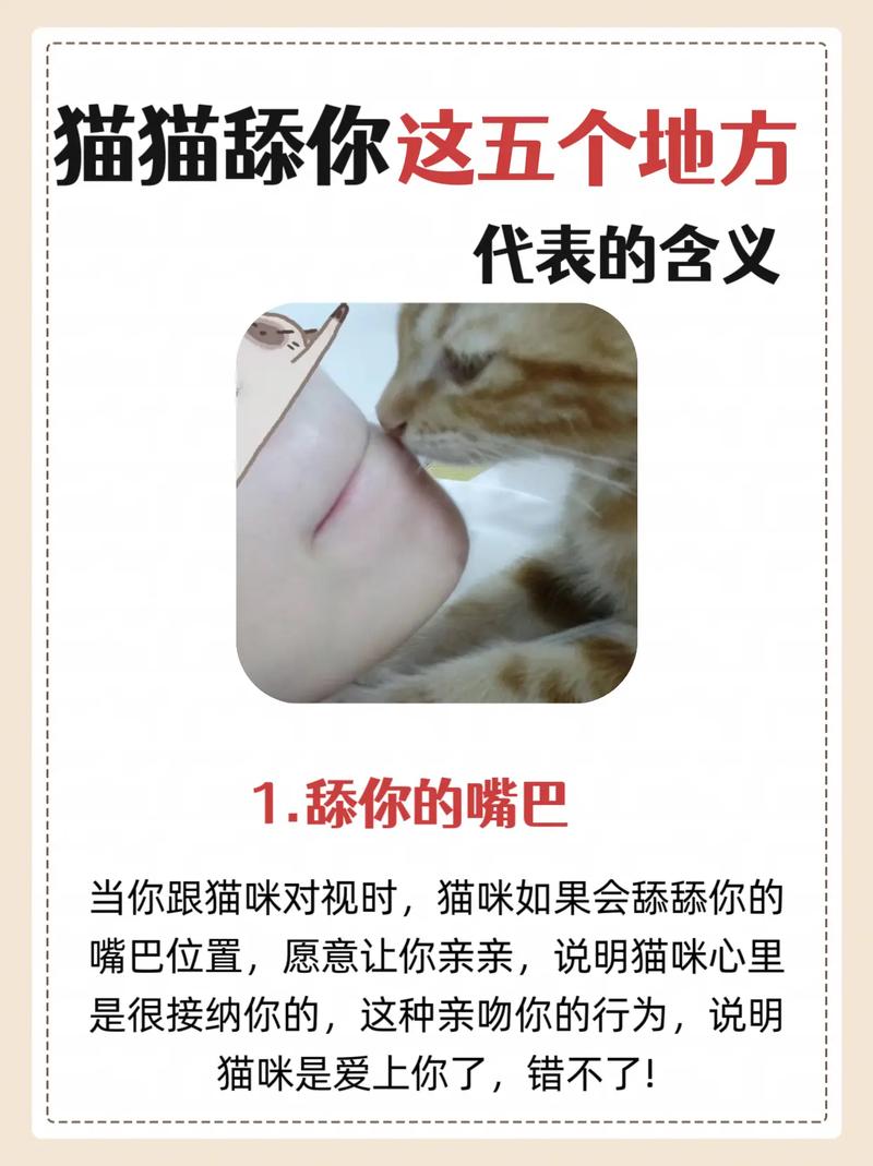 猫咪身上脏了总是自己舔干净吃进去那么多脏东西不会生病吗