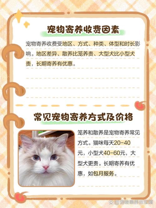 猫咪寄养多少钱一天