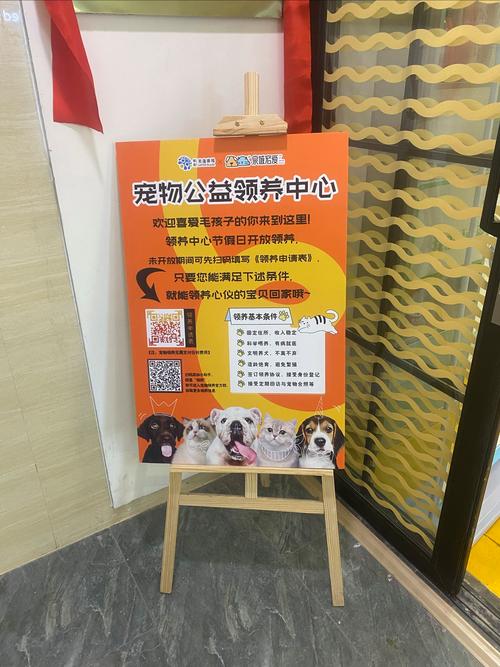 在哪里可以免费领养狗狗?
