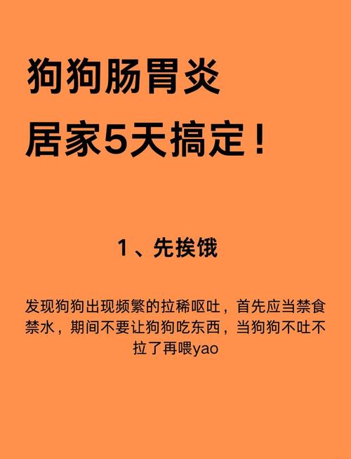 狗狗肠胃炎几天会自愈