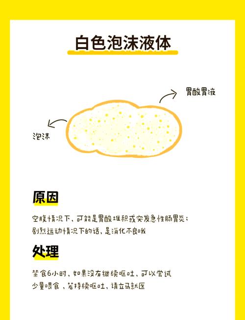 狗狗吃什么吐什么喝水都吐