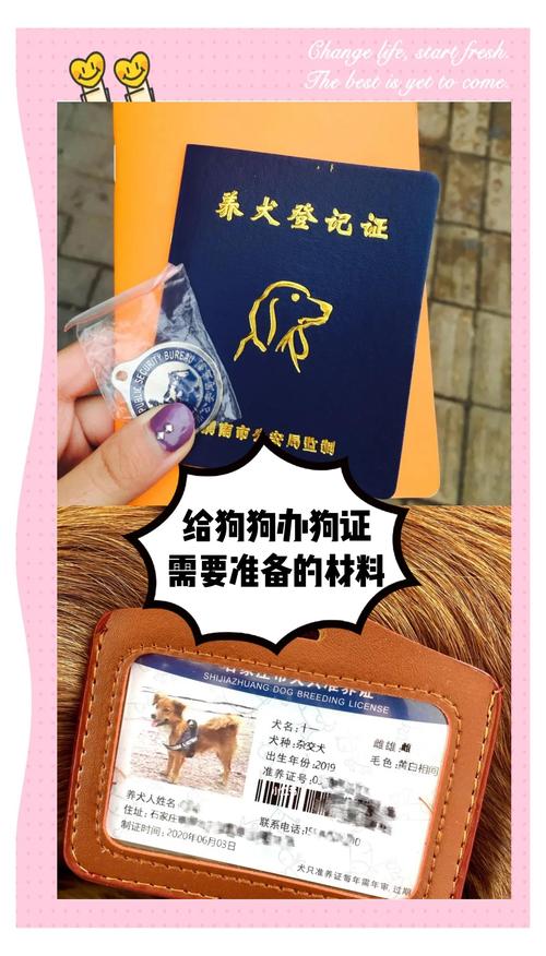 狗狗怎么办狗证