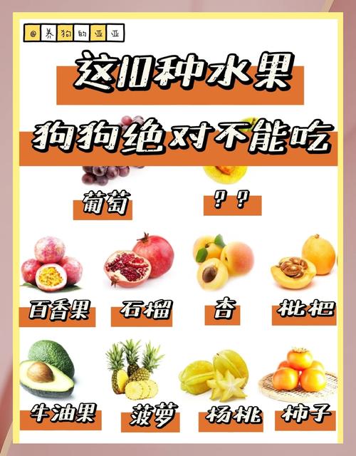狗能吃开心果吗为什么